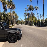 Отзыв от Давид - DTV виза